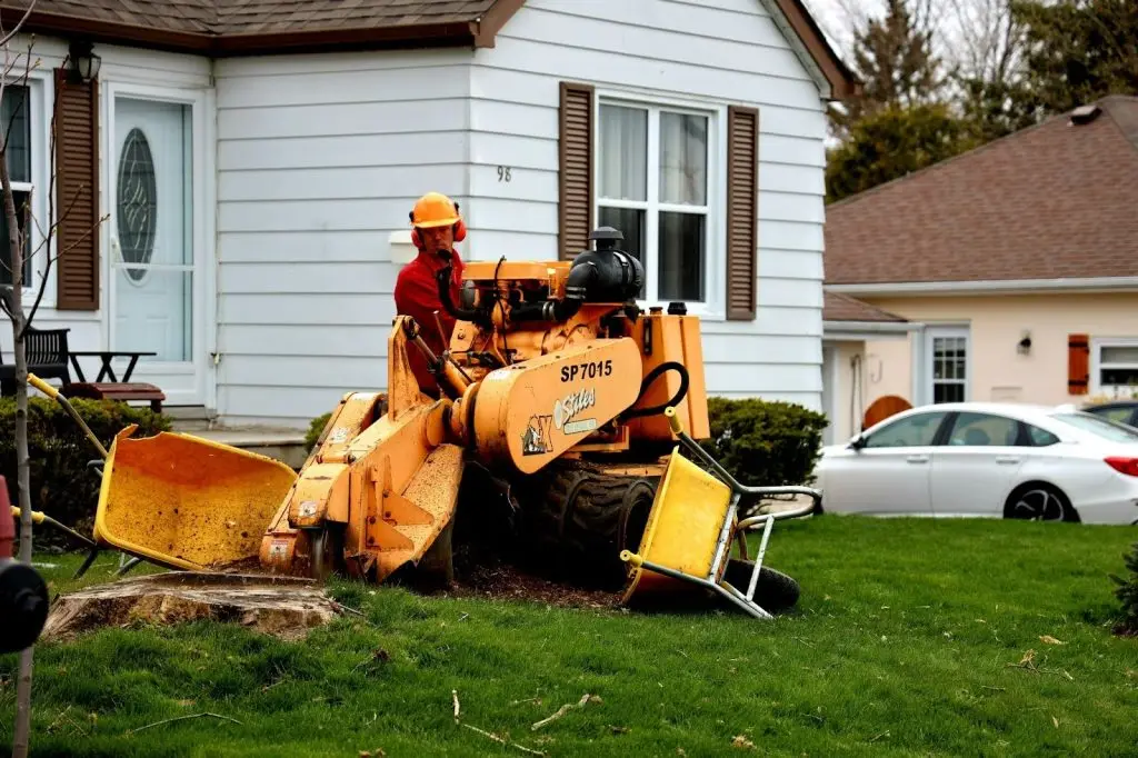 A man assessing the extent of fallen tree debris in his driveway following a severe windstorm.