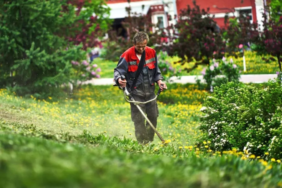 A person using a brush cutter to clear tall weeds and thick vegetation in a large backyard.