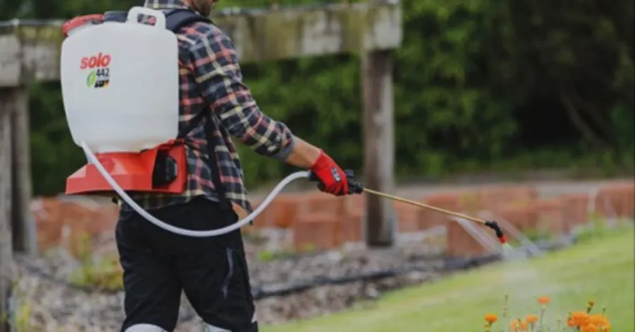 how much is a spray ground backpack