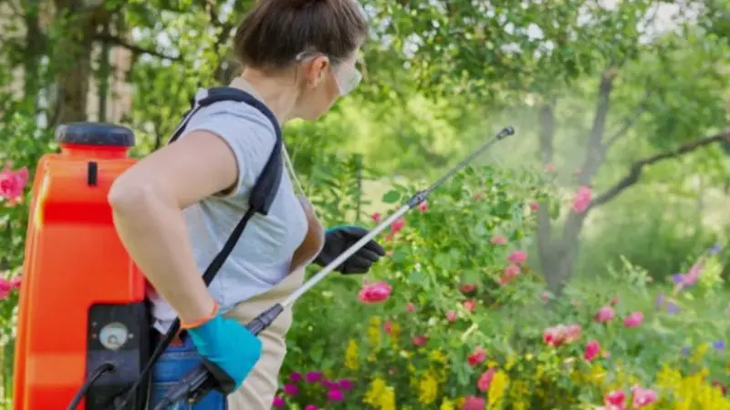 where to buy the best battery-powered backpack sprayer on best deals
