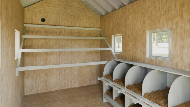 essential elements to include in the chicken coop layout inside