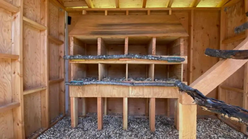 How to design a chicken coop interior 