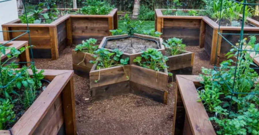raised garden beds designs