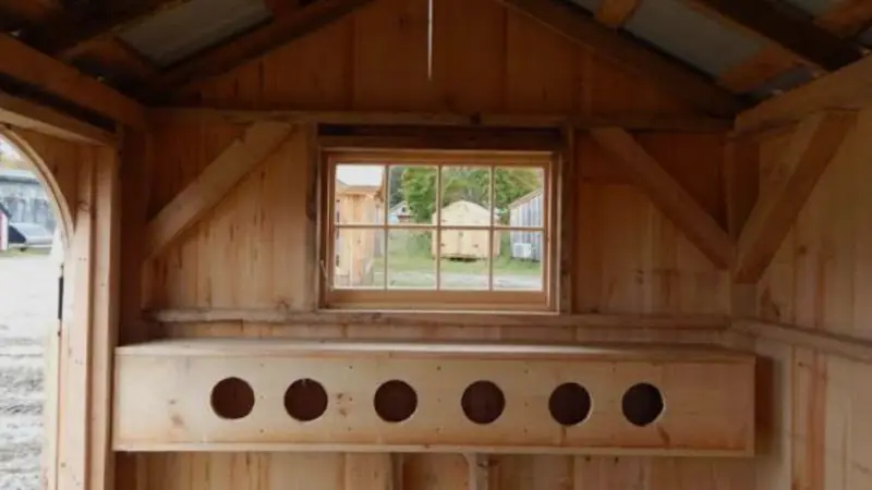 step-by-step guide to building a chicken coop with nest boxes