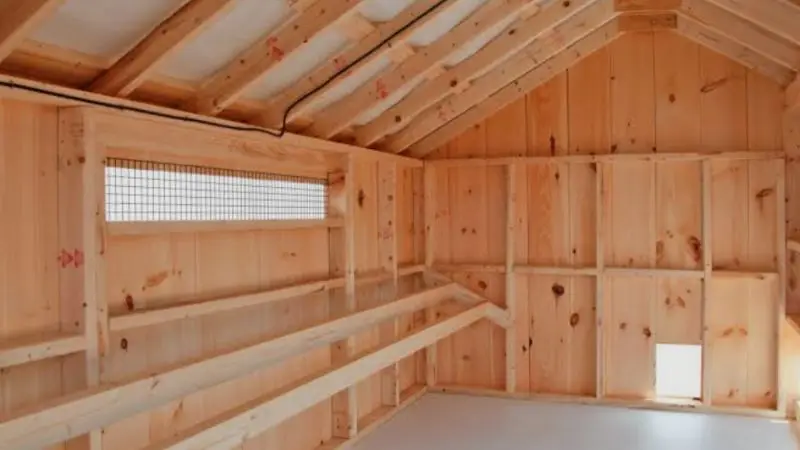 How to convert a garden shed into a chicken coop