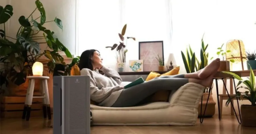 What does an ozone generator do