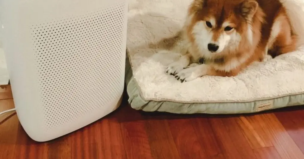 how long to wait after using the ozone generator​