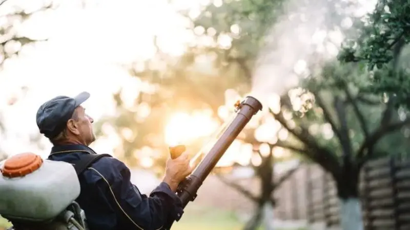 How to apply mosquito spray in your yard