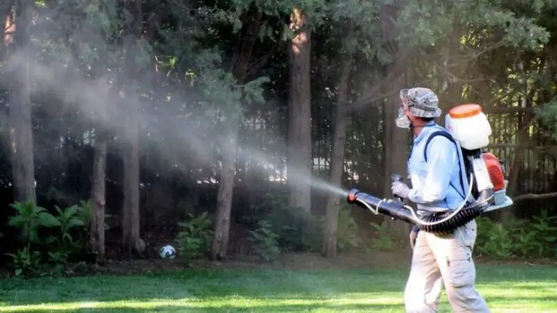 How to safely use spray for mosquitoes in the yard