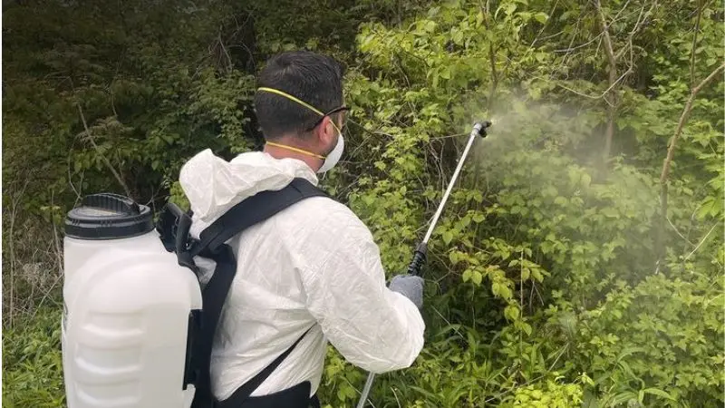 Choose the spray for mosquitoes