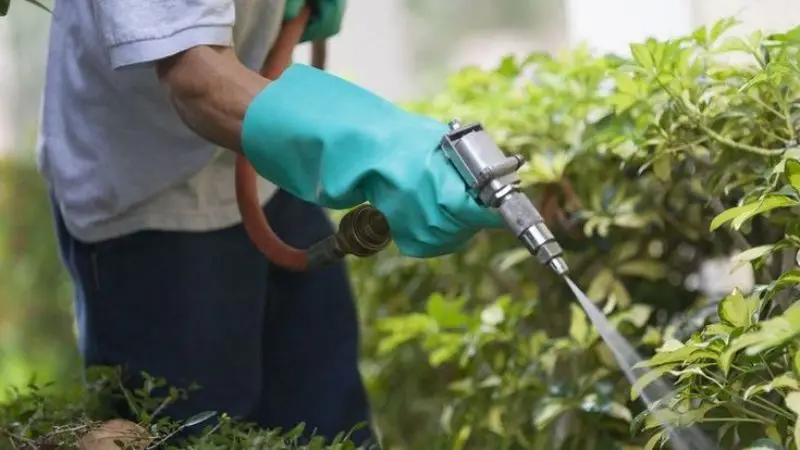 Keep your yard pest-free