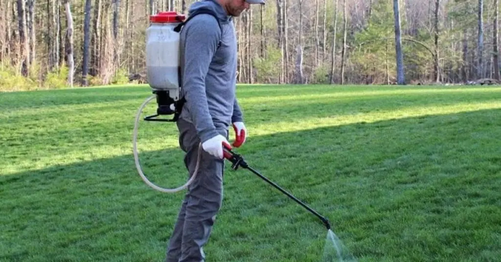backpack sprayer for weed killer​