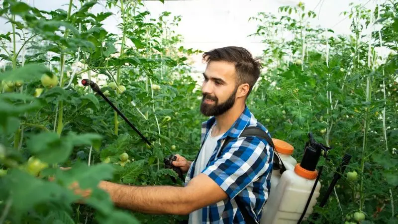 How to use a backpack sprayer for weeds