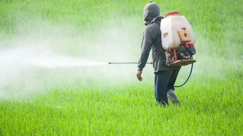 How to use a battery-powered lawn sprayer