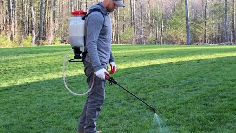 Choose the best battery-powered lawn sprayer