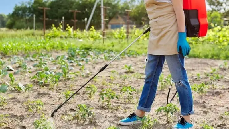 Safely use a battery-powered lawn sprayer