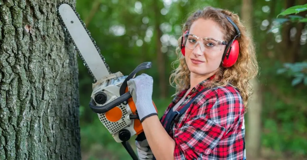 how to trim an Acer tree