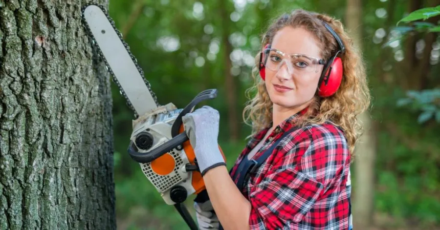 how to trim an Acer tree