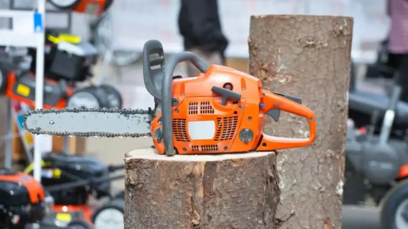 step-by-step guide on tree trimming 