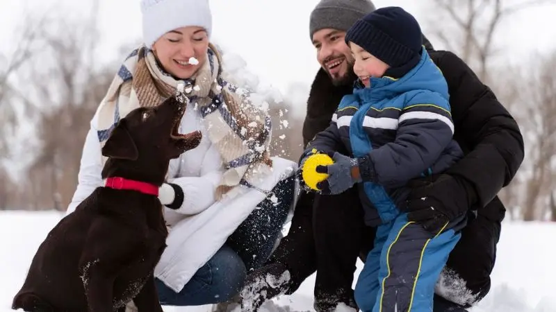 Why you need to use pet-safe ice melt this year