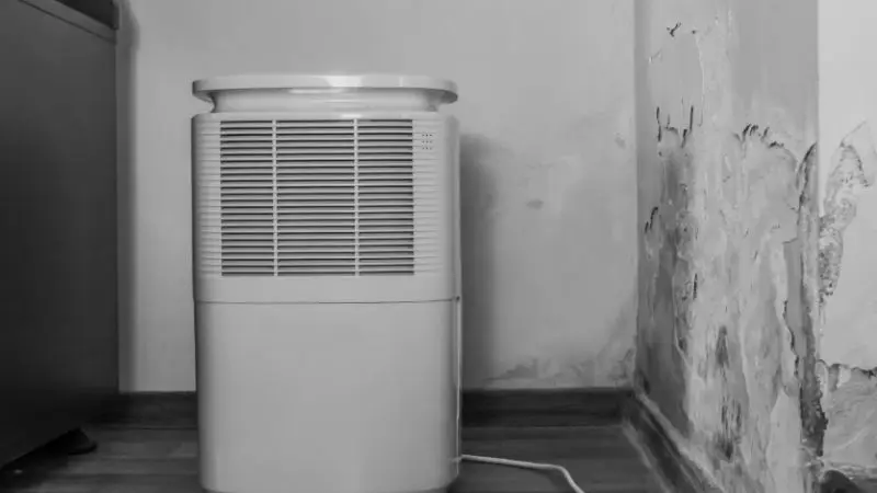 best dehumidifier for basement expert reviews