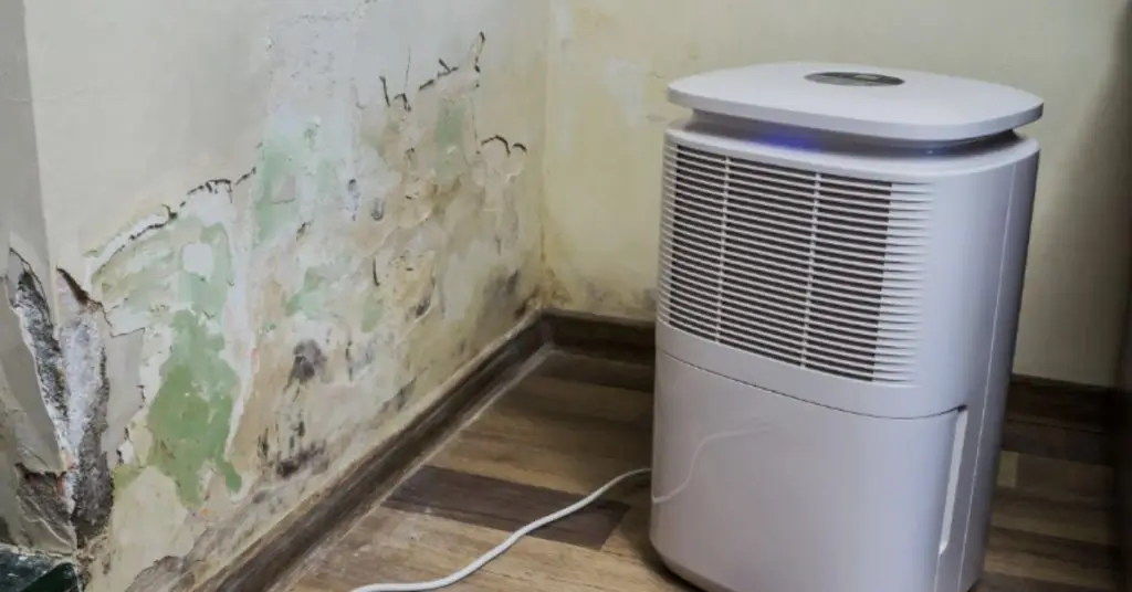 Basement dehumidifier