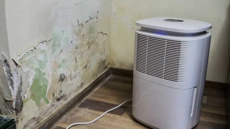 energy-efficient dehumidifier 
