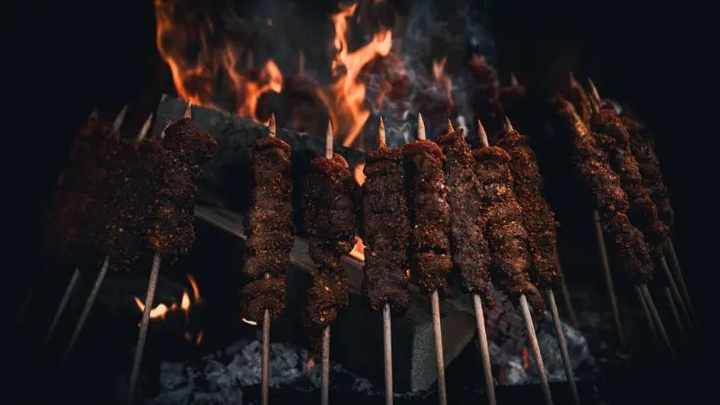 Outdoor Cooking Gas Grill