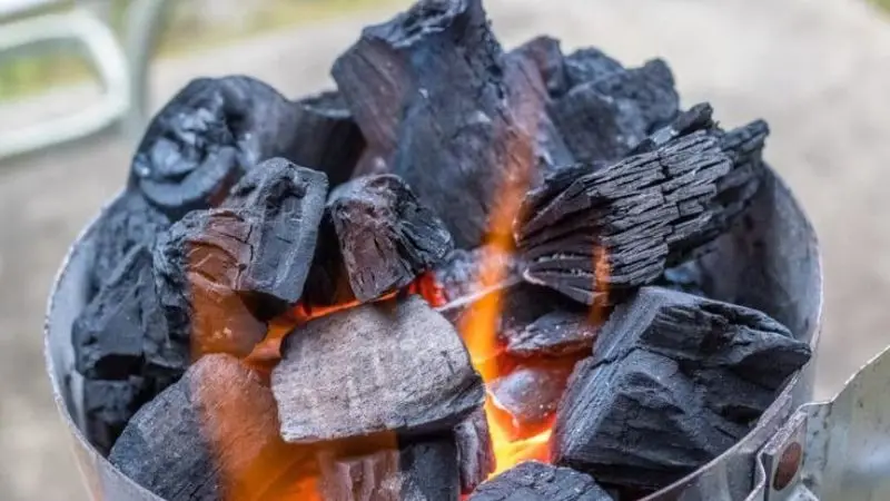 Types of charcoal 