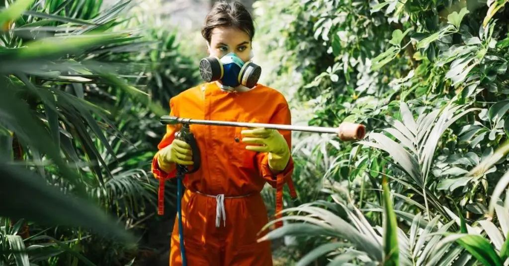 How to get rid of mosquitoes in backyard