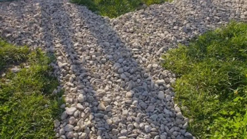 How to fix a muddy backyard fast