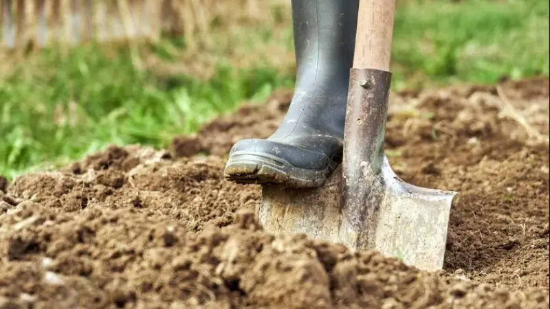  long-term solution to fix muddy backyard