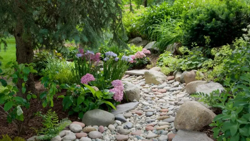 best drainage solution for muddy backyard