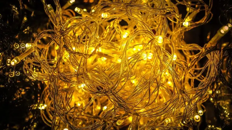 Indoor Outdoor LED Lights
