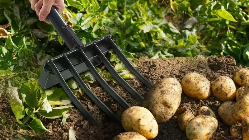 Spading Digging Fork