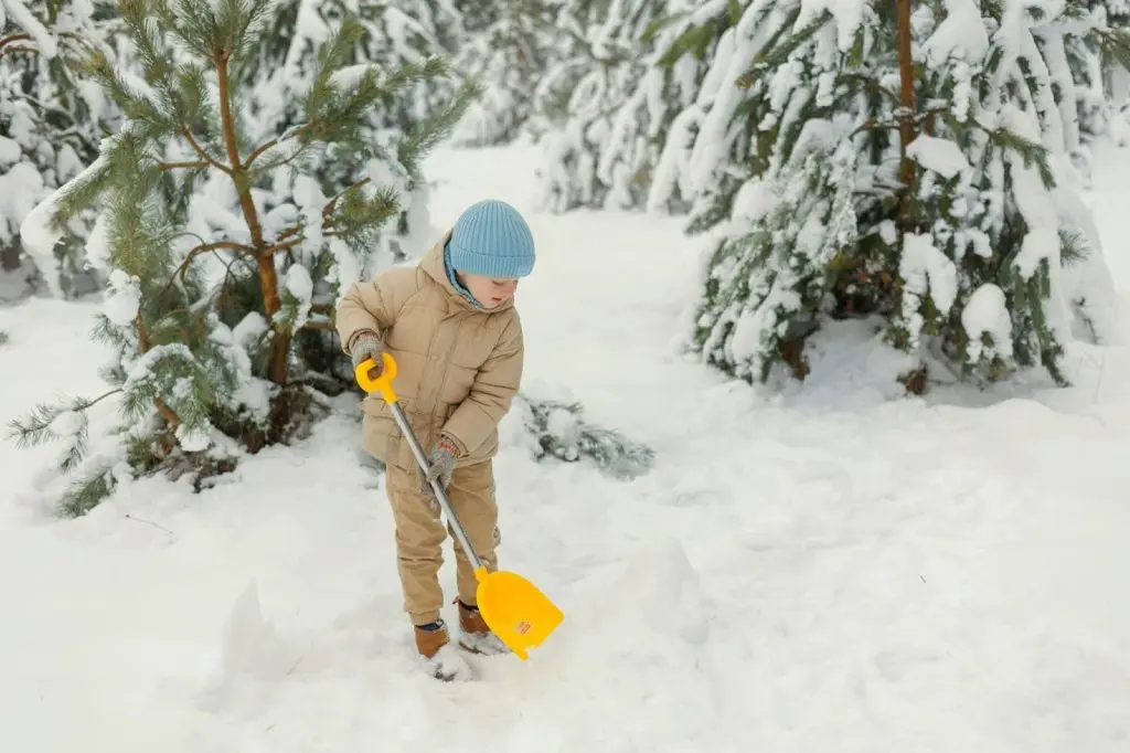 snow shovel for clearing snow