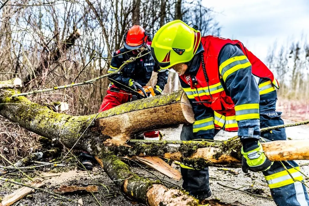 Two men in work gear carefully lifting and removing a large, broken tree limb from a garden