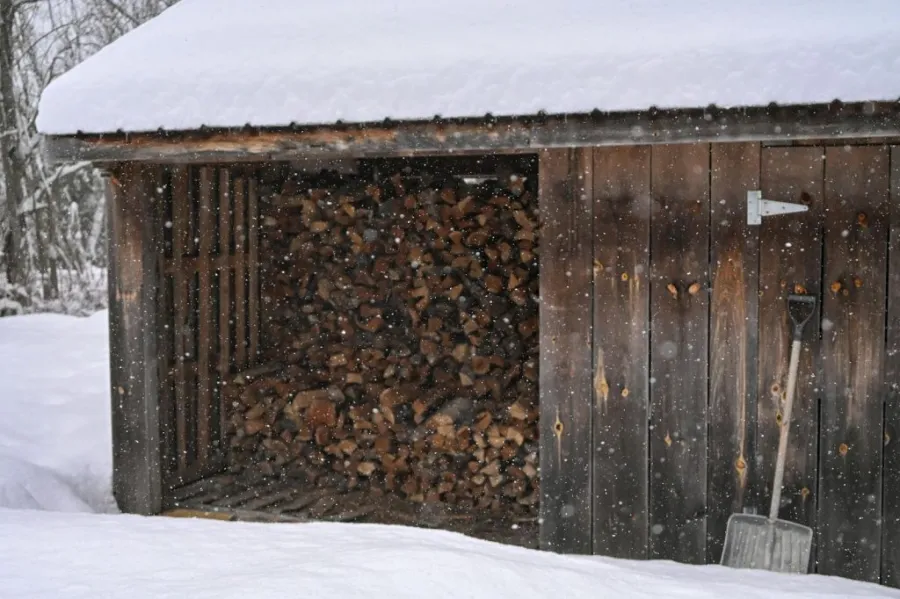winter shed 