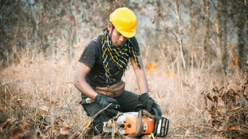 gas -powered chainsaw rules in California