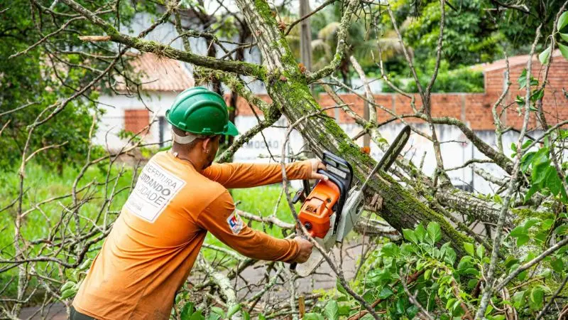 best gas chainsaw size for pruning trees