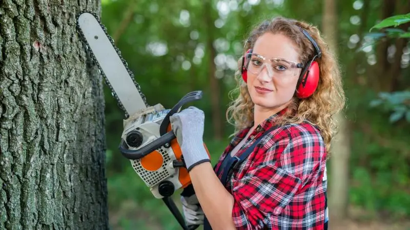 How to choose the right chainsaw for your needs