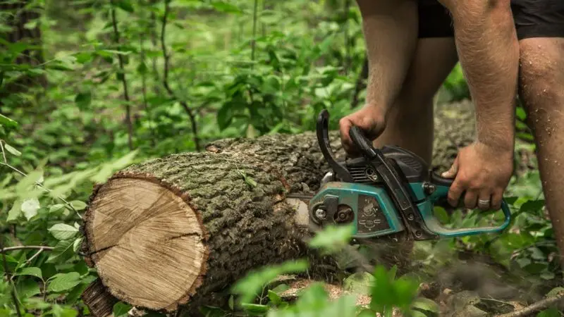 chainsaw safety and maintenance guide for homeowners