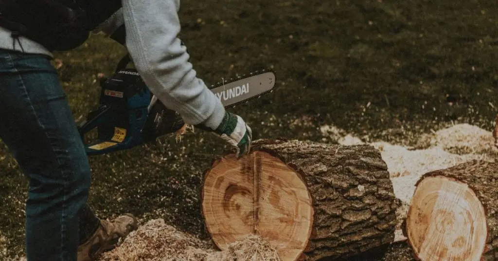 What size gas chainsaw do you need