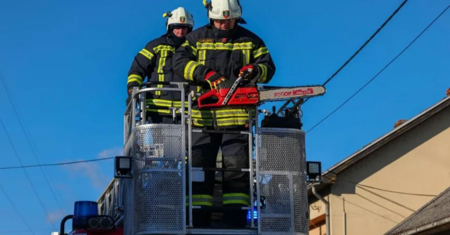 Professional gas chainsaw selection guide