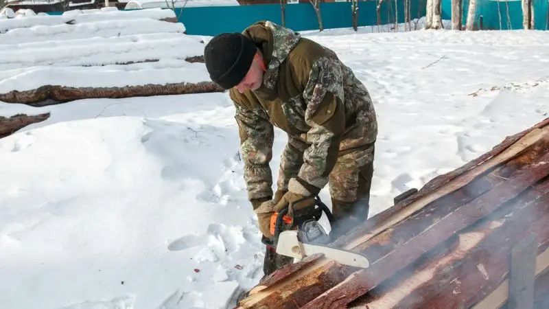 guide for choosing the perfect gas chainsaw