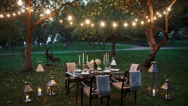 Decoration ideas for backyard engagement 