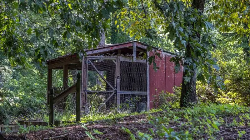 strong physical protection for your chicken coop
