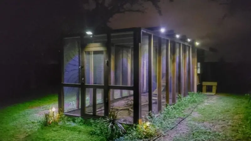 simple ways to keep chicken safe at night