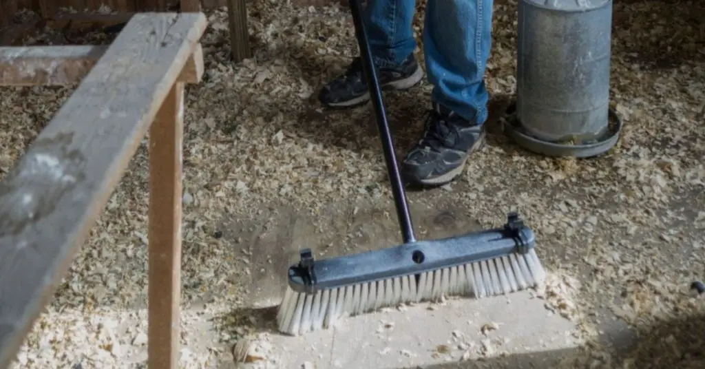 how to disinfect chicken coop