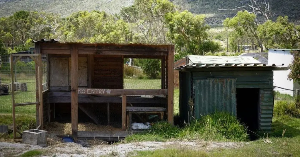 how much is a chicken coop